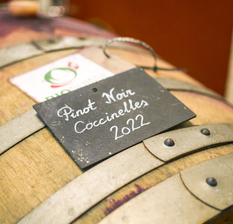 la coopérative de la béroche, oeil de perdrix, vin non-filtré, pinot noir, pinot noir neuchâtel, vins bios, vin nature